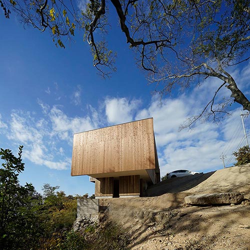 背景の緑とファサード