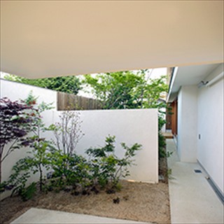 白い壁の前庭は、小さな樹木がある魅力的なスペースです。